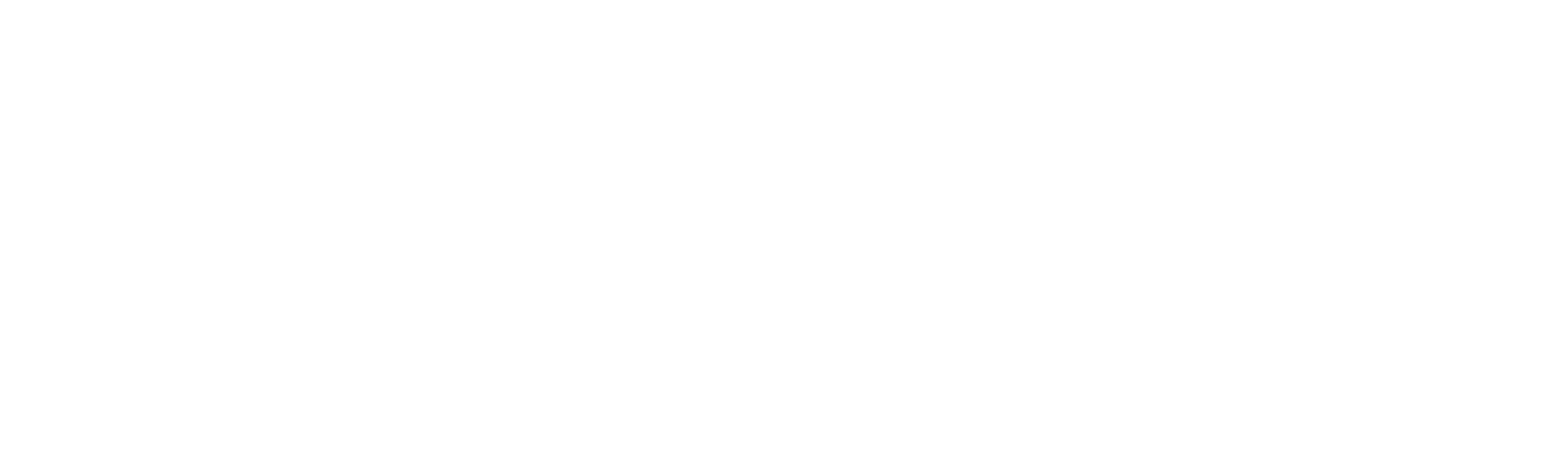 St. Louis County Children Service's Fund